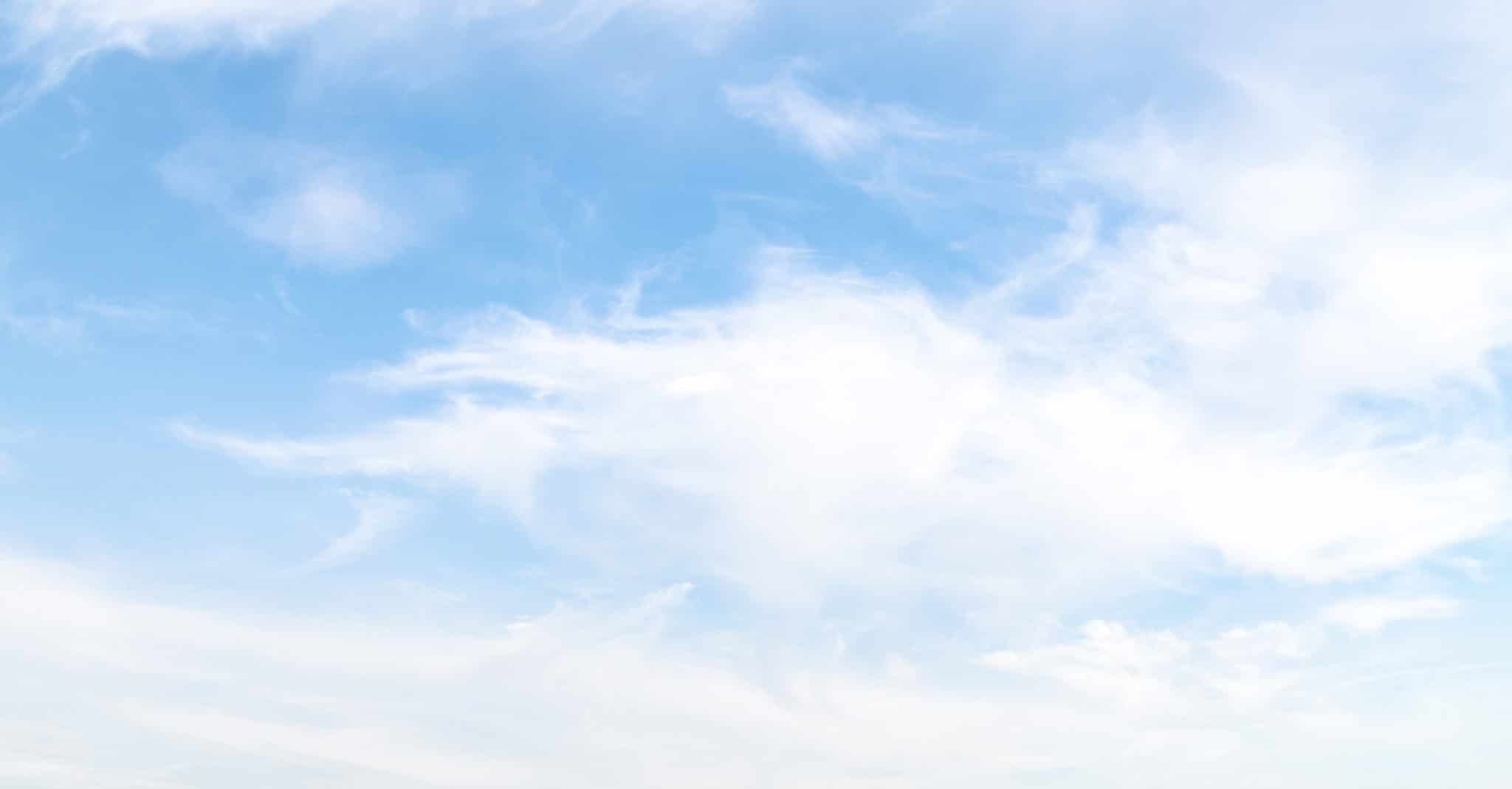 Professional Window and Door Replacement